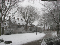 905225 Gezicht op het besneeuwde binnenterrein tussen de Oudegracht en de Springweg, achter het voormalige N.V. Huis ...
